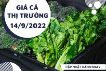 Giá cả thị trường hôm nay 14/9/2022: Ổn định giá rau củ quả các loại vào giữa tuần