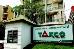 Mẹ Phó Tổng Giám đốc Địa ốc Tân Kỷ thoái sạch vốn