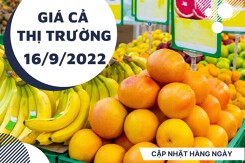 Giá cả thị trường hôm nay 16/9/2022: Trái cây nội địa và nhập khẩu có giá cả phải chẳng