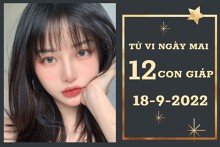 Tử vi ngày mai của 12 con giáp 18/9/2022: Hợi tài lộc tăng bất ngờ, Thìn tình cảm kém may mắn