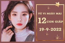 Tử vi ngày mai của 12 con giáp 19/9/2022: Tý tài lộc kém, Mùi đột phá trong công việc