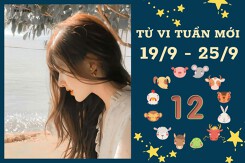 Tử vi tuần mới của 12 con giáp từ 19/9 đến 25/9: Sửu tài lộc gia tăng, Mão công việc bận rộn