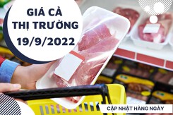 Giá cả thị trường hôm nay 19/9/2022: Giá các loại thực phẩm thiết yếu ổn định vào đầu tuần
