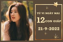 Tử vi ngày mai của 12 con giáp 21/9/2022: Dần tài lộc ảm đạm, Ngọ sự nghiệp bất ổn