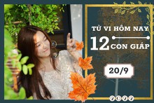 Tử vi hàng ngày hôm nay của 12 con giáp 20/9/2022: Mùi tài lộc tấn tới, Sửu gặp nhiều may mắn