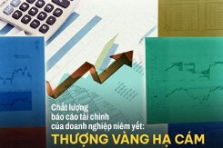 [Bài 1] Chất lượng báo cáo tài chính của doanh nghiệp niêm yết: 'Thượng vàng hạ cám'