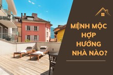 Mệnh Mộc hợp hướng nhà nào? Hướng tốt mang lại may mắn và thịnh vượng