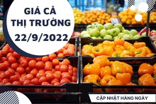 Giá cả thị trường hôm nay 22/9/2022: Trái cây nội địa đa dạng với giá ‘cực’ tốt