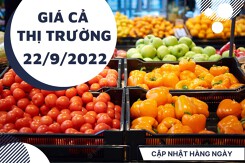 Giá cả thị trường hôm nay 22/9/2022: Trái cây nội địa đa dạng với giá ‘cực’ tốt