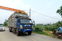 Quảng Nam dự kiến nâng cấp quốc lộ 14E hơn 1.800 tỷ đồng vào cuối năm