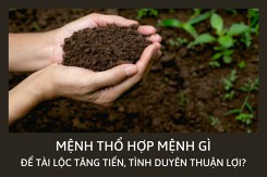 Mệnh Thổ hợp mệnh gì? Những cách gia tăng tài lộc cho người mệnh Thổ
