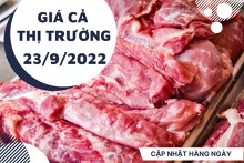 Giá cả thị trường hôm nay 23/9/2022: Siêu thị cung cấp đa dạng thực phẩm tươi sống với giá hấp dẫn