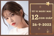Tử vi ngày mai của 12 con giáp 26/9/2022: Dậu tài lộc dồi dào, Tý tình yêu thăng hoa