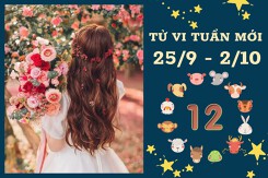 Tử vi tuần mới của 12 con giáp từ 26/9 đến 2/10: Tỵ tài lộc vượng vận, Tý tình cảm buồn chán