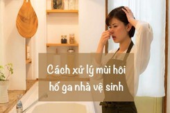 Top 5 cách xử lý mùi hố ga nhà vệ sinh hiệu quả nhất