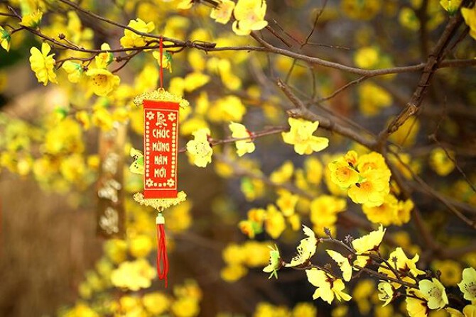 Lịch nghỉ tết nguyên đán chính thức mới nhất