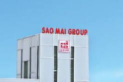 Sao Mai Group sắp chi hơn 500 tỷ đồng cổ tức cho cổ đông