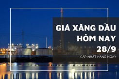 Giá xăng dầu hôm nay 28/9: Dứt đà giảm, giá dầu nhích nhẹ dưới 0,5%