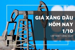 Giá xăng dầu hôm nay 1/10: Giảm trở lại trong phiên cuối tuần