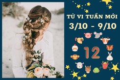 Tử vi tuần mới của 12 con giáp từ 3/10 đến 9/10: Mùi tài lộc chững lại, Hợi sự nghiệp ổn định