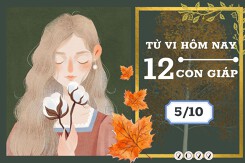 Tử vi hàng ngày hôm nay của 12 con giáp 5/10/2022: Thìn tài lộc tươi sáng, Tuất sự nghiệp hanh thông