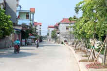 Hà Nội đấu giá 19 thửa đất ở tại huyện Mỹ Đức, khởi điểm từ 510 triệu đồng/thửa