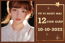 Tử vi ngày mai của 12 con giáp 10/10/2022: Mão tài lộc tươi sáng, Dậu vượng tình yêu