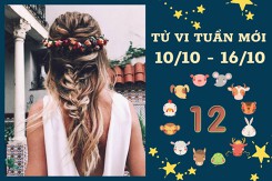 Tử vi tuần mới của 12 con giáp từ 10/10 đến 16/10: Sửu tài lộc tăng tiến, Ngọ hạnh phúc trong tình yêu