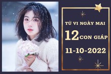 Tử vi ngày mai của 12 con giáp 11/10/2022: Thìn tài lộc vượng tiến, Tuất công việc gặp may