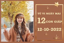 Tử vi ngày mai của 12 con giáp 12/10/2022: Tỵ cải thiện tài lộc, Hợi vượng tình duyên
