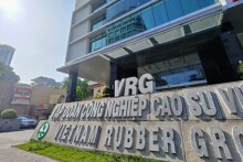 Chiến lược làm bất động sản công nghiệp trên đất cao su của nhóm VRG