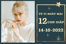 Tử vi ngày mai của 12 con giáp 14/10/2022: Mùi tài lộc ‘vào như nước’, Mão tình cảm xuống dốc