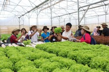 Chiến lược phát triển kinh tế tập thể, hợp tác xã giai đoạn 2021 - 2030