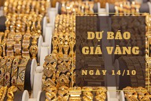 Dự báo giá vàng 14/10: Dự kiến duy trì đà tăng nhẹ?
