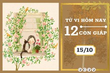 Tử vi hàng ngày hôm nay của 12 con giáp 15/10/2022: Dần tài lộc khởi sắc, Thân tình duyên êm đẹp