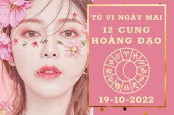 Tử vi ngày mai của 12 cung hoàng đạo 19/10/2022: Sư Tử tài lộc may mắn, Kim Ngưu công việc bất ổn