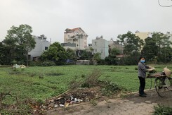 Ngân hàng đất nông nghiệp giúp nông dân cho thuê đất: Nhiều vấn đề cần làm rõ