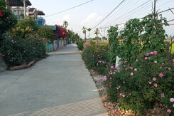 Đấu giá 12 thửa đất tại Điện Biên, khởi điểm từ 5,43 triệu đồng/m2