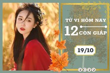 Tử vi hàng ngày hôm nay của 12 con giáp 19/10/2022: Tý tài lộc thăng tiến, Tỵ tình cảm khởi sắc