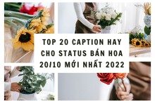 Top 20 caption hay cho status bán hoa 20/10 mới nhất 2022