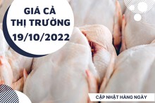 Giá cả thị trường hôm nay 19/10/2022: Các siêu thị giảm giá thịt heo, bò, gà vào giữa tuần