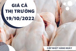Giá cả thị trường hôm nay 19/10/2022: Các siêu thị giảm giá thịt heo, bò, gà vào giữa tuần