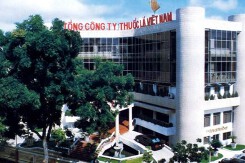 Thanh tra Chính phủ: Vinataba chuyển nhượng gần 3,1 ha đất vàng tại TP HCM sai quy định
