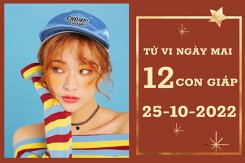 Tử vi ngày mai của 12 con giáp 25/10/2022: Hợi tài lộc khởi sắc, Dậu sự nghiệp gặp trục trặc