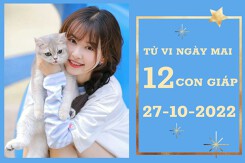 Tử vi ngày mai của 12 con giáp 27/10/2022: Sửu tài lộc rực rỡ, Mùi công việc vất vả