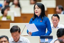 ĐBQH: Quá nhiều cuộc thanh tra, đề xuất giới hạn số lượng trong năm