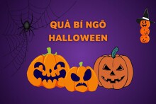 Sự tích quả bí ngô Halloween và ý nghĩa đằng sau biểu tượng này