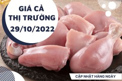 Giá cả thị trường hôm nay 29/10/2022: Thịt gà giảm tại siêu thị  Farmers' Market