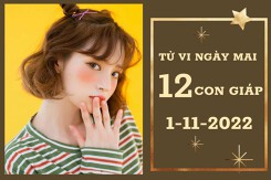 Tử vi ngày mai của 12 con giáp 1/11/2022: Dậu tài lộc lao dốc, Mão tình yêu kém duyên