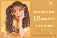 Tử vi ngày mai của 12 con giáp 3/11/2022: Thân tài lộc vượng tiến, Dần hạnh phúc đong đầy